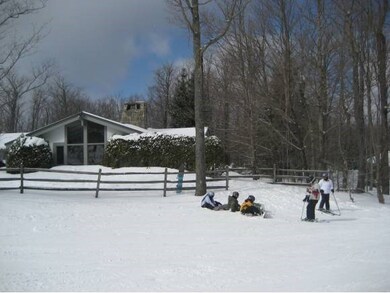 141 W Ridge Rd, Stratton, VT 05360 - photo 3