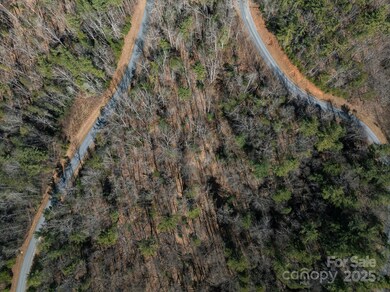 761 High Trail Dr unit 39, Nebo, NC 28761 - photo 3