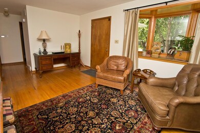 157 E Dunedin Living Room