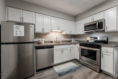 10102 Holly Ln unit 2S, Des Plaines, IL 60016 - photo 5