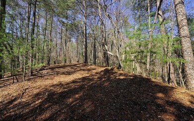 Additional View