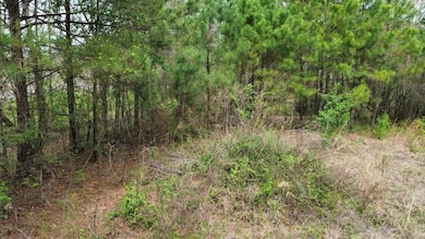 400 County Road 1924, Atlanta, TX 75551 - photo 2