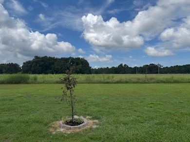 1190 Whistle Top Ln, Alcolu, SC 29001 - photo 4