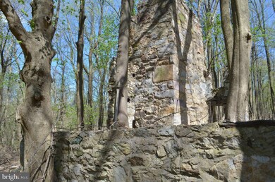 0 Raven Rocks Rd unit 1003475354, Bluemont, WV 20135 - photo 2