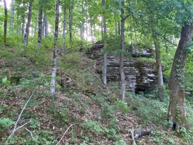 397 New Herman Rd, Shelbyville, TN 37160 - photo 7