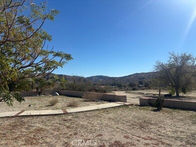 49618 Buena Vista Dr, Morongo Valley, CA 92256 - photo 6