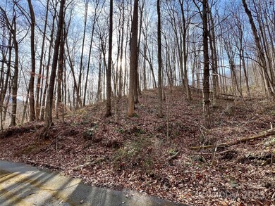 000 Heather Way unit 10, Waynesville, NC 28786 - photo 5