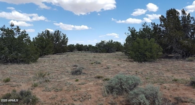 205 County Rd N7291 --, Saint Johns, AZ 85936 - photo 6