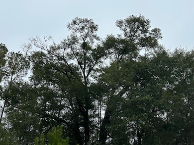 Tract#6418 Mattox Springs Rd unit North 2, Caryville, FL 32427 - photo 4