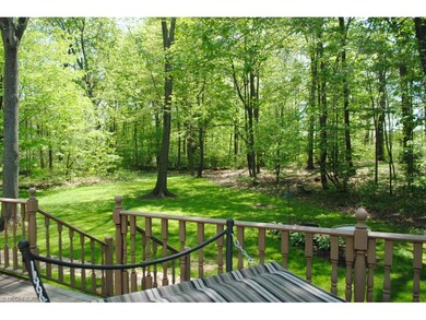 Wooded view