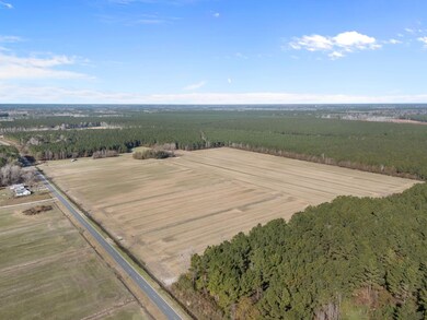 Tuten Rd, Blounts Creek, NC 27814 - photo 4