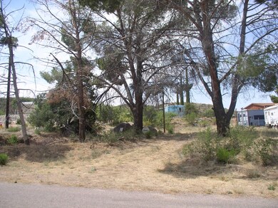 Camino Seco 003
