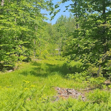 18B Isaac Stevens Rd, Bridgton, ME 04009 - photo 3