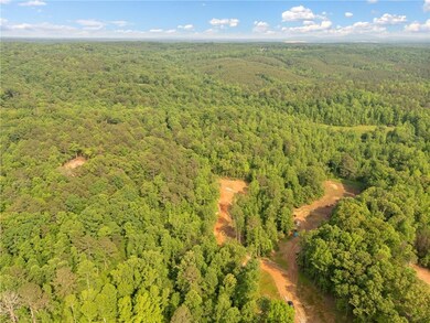 Drone / aerial view of a forest