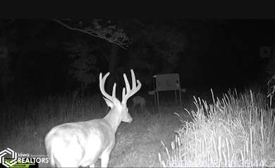 185th St, Trenton, IA 52641 - photo 3