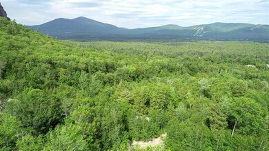 65 Boulder Ridge Rd unit 121, Hale's Location, NH 03860 - photo 5