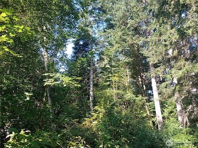 Mature trees