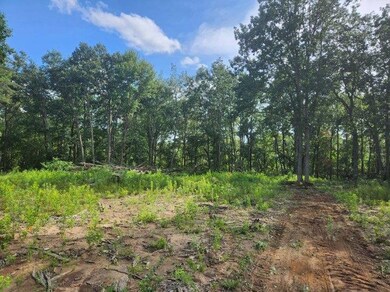 0 Thomas Springs Rd, Crossville, TN 38572 - photo 3