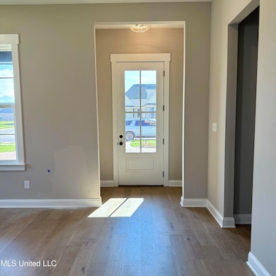 768 Coahoma Ct, Hernando, MS 38651 - photo 5