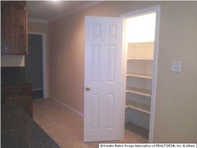 Pantry in Kitchen - lots of shelves