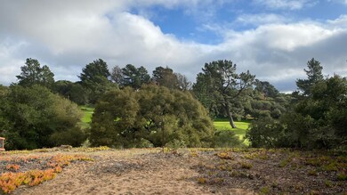 IMG_7084
