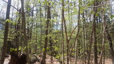 501 Roby, Sutton, NH 03221 - photo 4