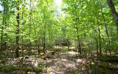 Additional View