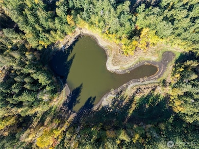 132 xx Algyer Rd SE, Rainier, WA 98576 - photo 2