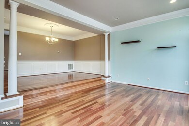 25118 Andes Terrace, Stone Ridge, VA 20105 - photo 6