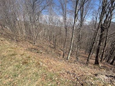 14 & 16 Overlook Dr, Mars Hill, NC 28754 - photo 4