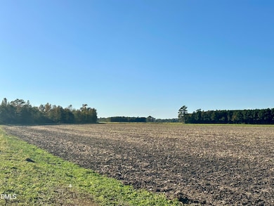 0 Main St, Newton Grove, NC 28366 - photo 2