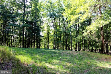 LOT 135 River Bend Dr, Paw Paw, WV 25434 - photo 6