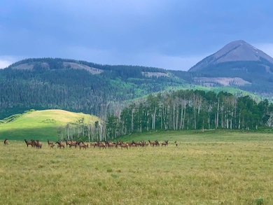 Yalgo-Ranch-Colorado-ranches-for-sale-el