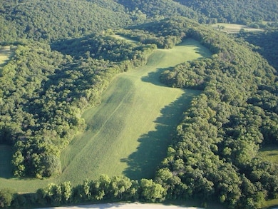 TBD W Chestnut Mountain Rd, Rice Township, IL 61041 - photo 4