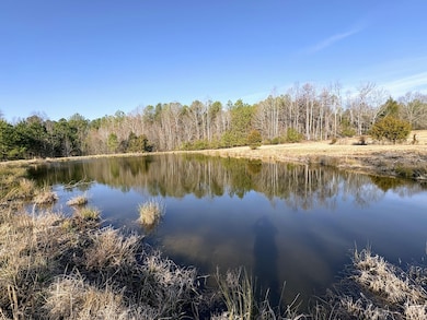 312 Timms Mill Rd, Williamston, SC 29697 - photo 5