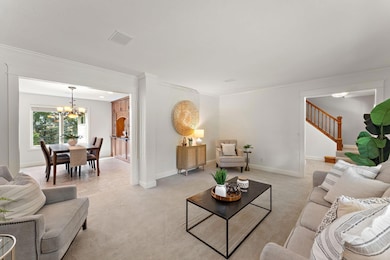 31-web-or-mls-UAV Vision Media (31).jpg