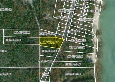 0 King's Hwy unit Parcel A 474314, Beaver Island, MI 49782 - photo 4