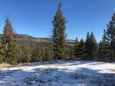 141 Torto Loop, Kila, MT 59920 - photo 4