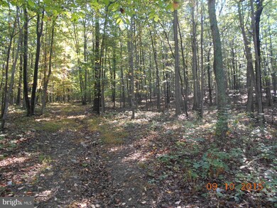 2 Spring Gap Rd, Slanesville, WV 25444 - photo 6