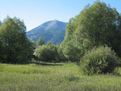 4325 Goodrick Ln, Wilson, WY 83014 - photo 5