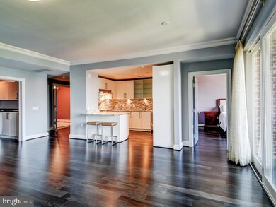 The Ritz-Carlton Residences, Baltimore, MD 21230 - photo 7