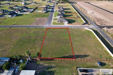 905 Daniel Ln, Weslaco, TX 78599 - photo 5