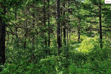 239 Inspiration Way, Sandpoint, ID 83864 - photo 3