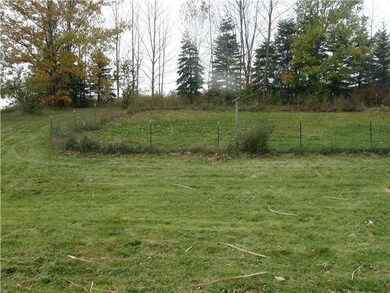 Yard/Garden