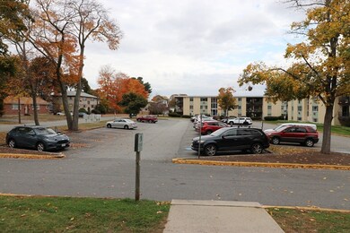 24 Nelson Dr unit 2A, Randolph, MA 02368 - photo 2