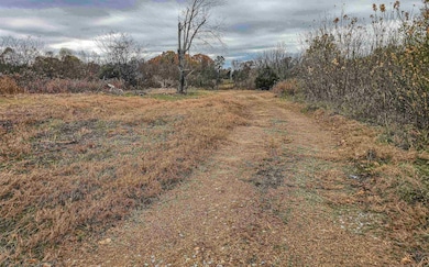 0 Fisherville Rd unit 10210138, Collierville, TN 38017 - photo 6