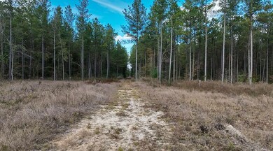 unlisted-address, Mize, MS 39116 - photo 2