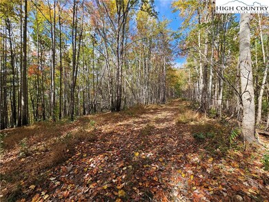 TBD Bent Bow Dr, Lenoir, NC 28645 - photo 4