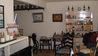 P1010004