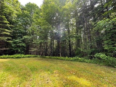 6 Greer Ct unit 668, Wilmington, VT 05363 - photo 3